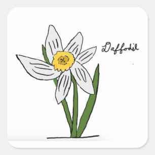 Daffodil Sticker Square