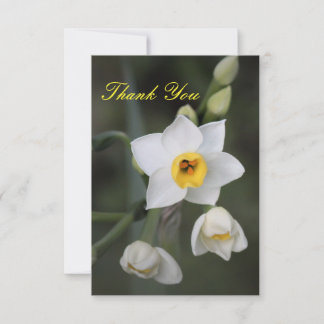 Daffodil Thank You Card