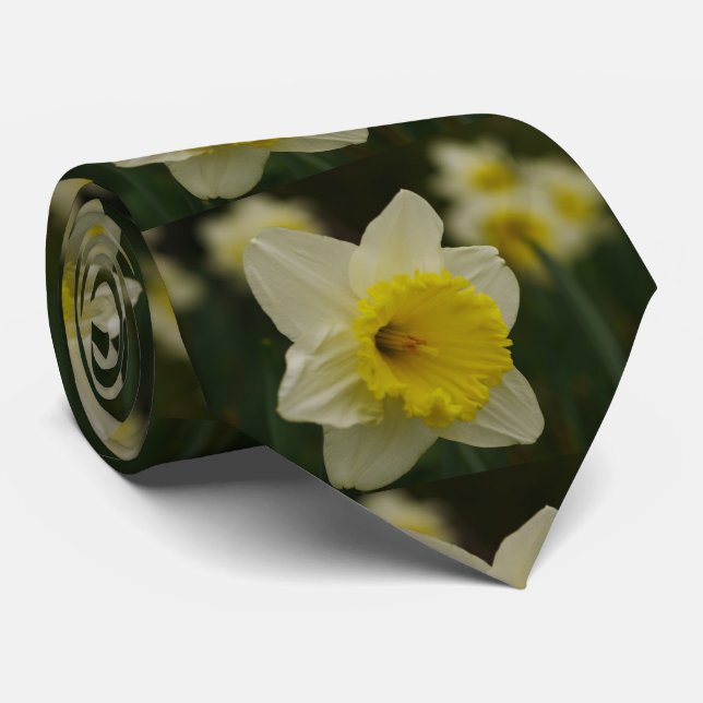 Daffodil Tie (Rolled)