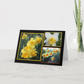 Daffodil Trio Card
