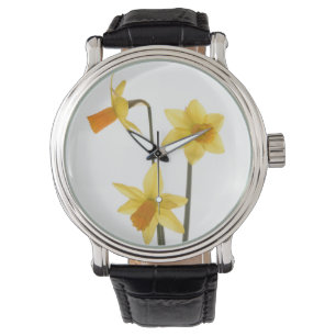 Daffodil Watch