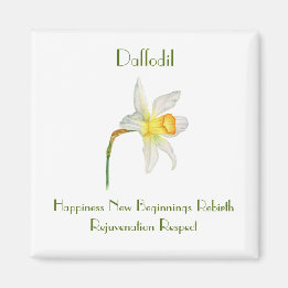 Daffodil watercolor with the flowers meaning magnet