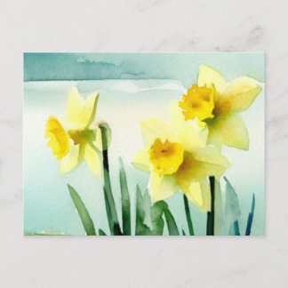 Daffodil Watercolour Postcard