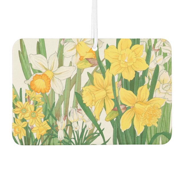 Daffodil Woodblock Painting, Tanigami Kônan, 1917 Car Air Freshener (Front)