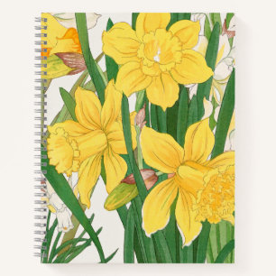 Daffodil Woodblock Painting, Tanigami Kônan, 1917 Notebook