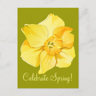 Daffodil Yellow Short-Trumpet Spring Flower Postcard