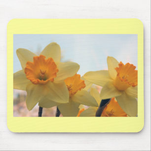 Daffodills Mouse Mat