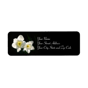 Daffodils