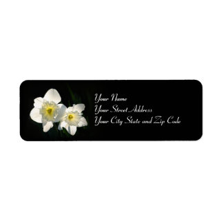 Daffodils