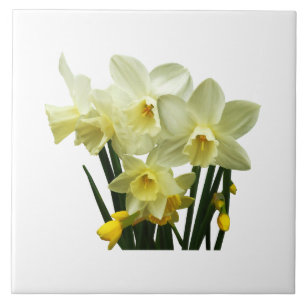 Daffodils and Buds Tile
