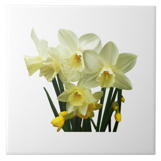 Daffodils and Buds Tile (Front)