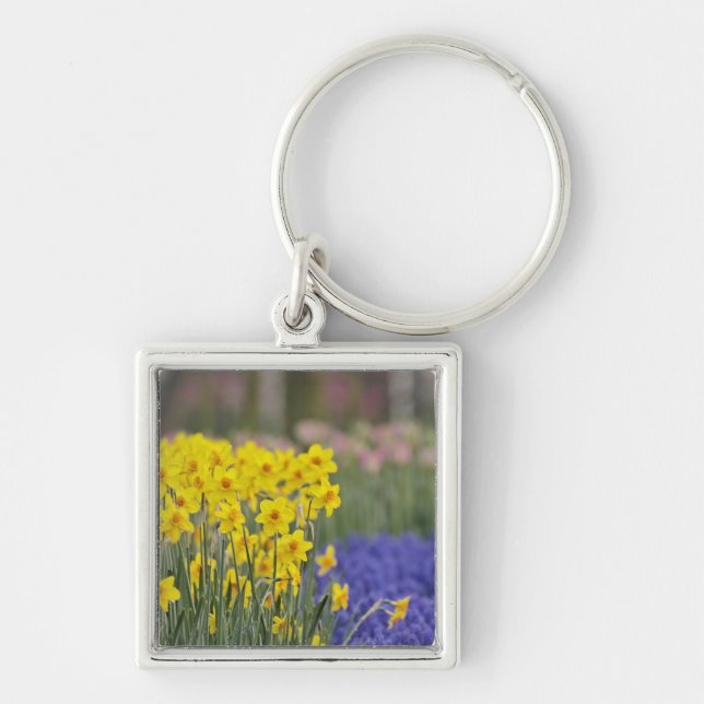 Daffodils and Grape Hyacinth, Keukenhof Key Ring (Front)