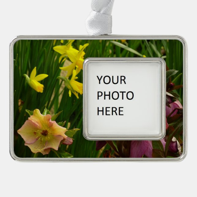 Daffodils and Lenten Roses Colourful Floral Silver Plated Framed Ornament (Front)