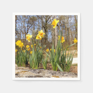 Daffodils at Easter Paper Napkins
