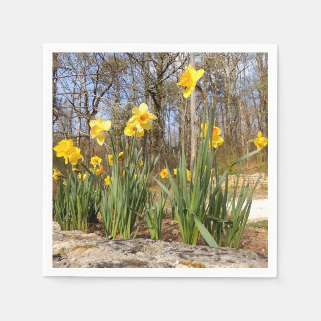 Daffodils at Easter Paper Napkins (Front)