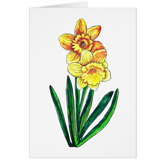 Daffodils Blank (Front)