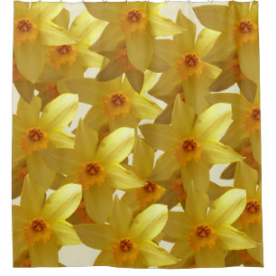 Daffodils Bloom  Curtain