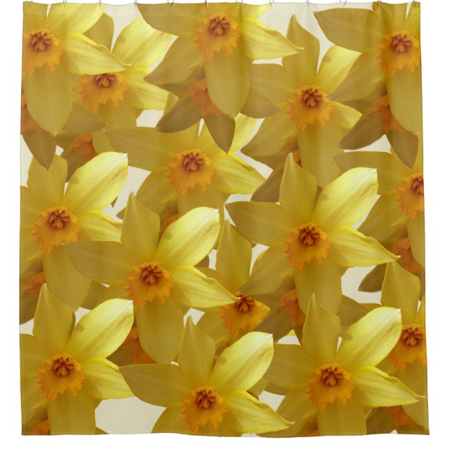 Daffodils Bloom  Curtain (Front)