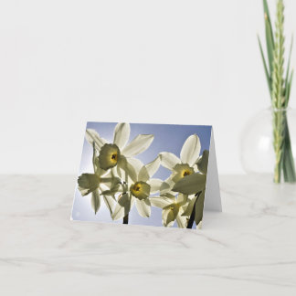 Daffodils blooming with a spring blue sky thank you card