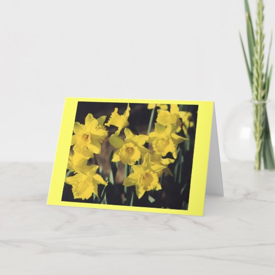 Daffodils Card Zazzle.co.uk