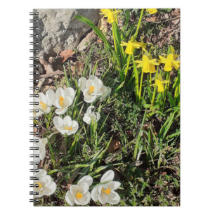 Daffodils & Crocus Spiral Notebook