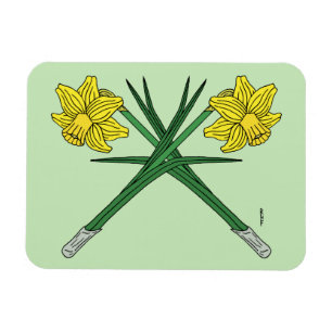 Daffodils Crossed Magnet