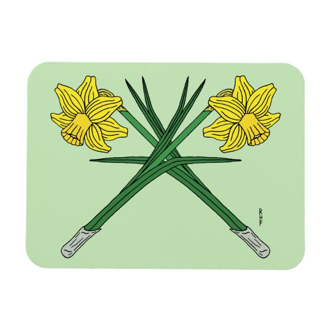 Daffodils Crossed Magnet (Horizontal)