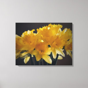 Daffodils Flower Canvas Photographic Art Print