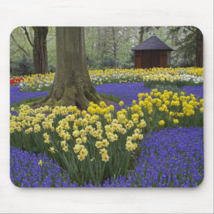 Daffodils, grape hyacinth, and tulip garden, mouse mat