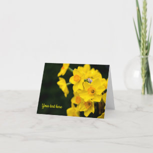 Daffodils Greeting card