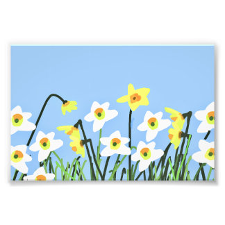 Daffodils in Spring – Contemporary Art Photo Print