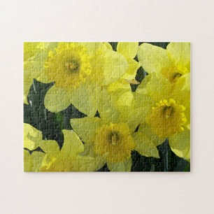 Daffodils Jigsaw Puzzle