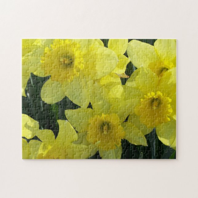 Daffodils Jigsaw Puzzle (Horizontal)