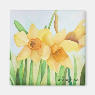 Daffodils Magnet
