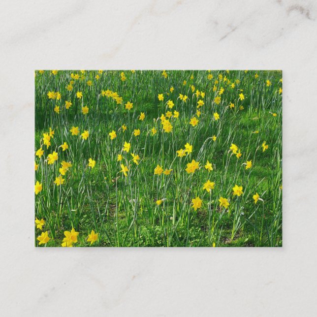 Daffodils/Narcissus Business Card (Front)