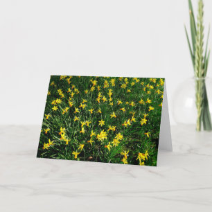 Daffodils/Narcissus Card