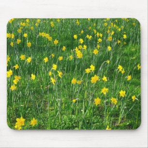 Daffodils/Narcissus Mouse Mat
