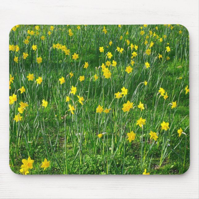 Daffodils/Narcissus Mouse Mat (Front)