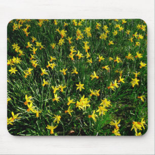 Daffodils/Narcissus Mouse Mat