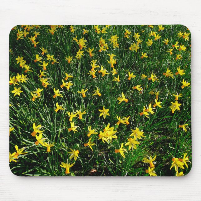 Daffodils/Narcissus Mouse Mat (Front)