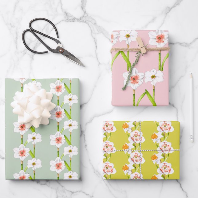 Daffodils on a Wrapping Paper Set (B) (Front)