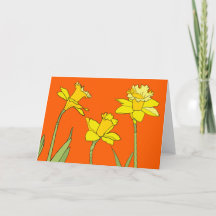 Daffodils on orange