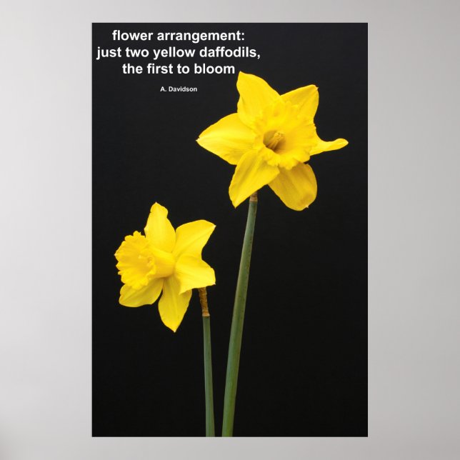 Daffodils Quotation Poster (Front)