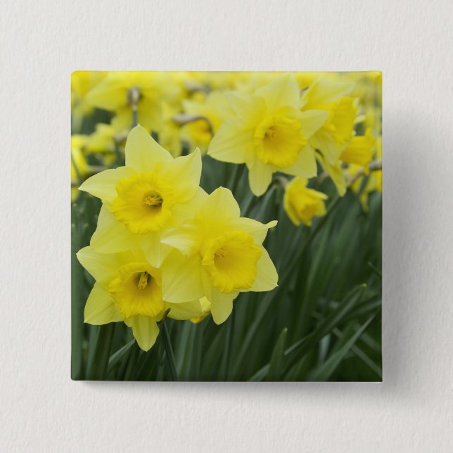 Daffodils RF) 15 Cm Square Badge (Front)