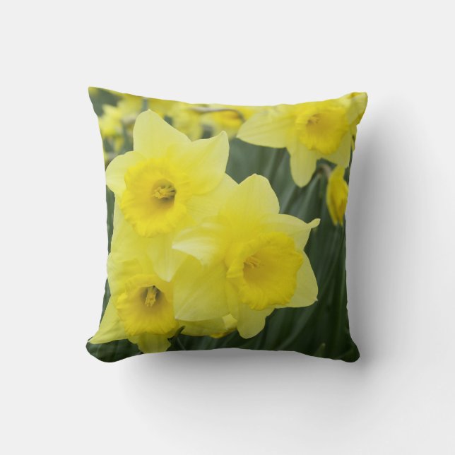 Daffodils RF) Cushion (Front)