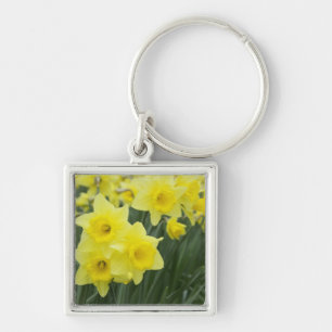 Daffodils RF) Key Ring