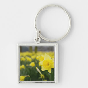 Daffodils (RF) Key Ring