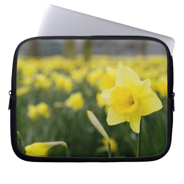 Daffodils (RF) Laptop Sleeve (Front)