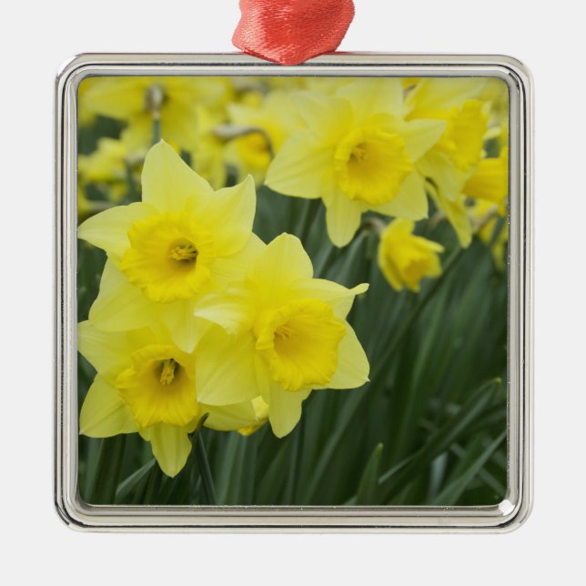 Daffodils RF) Metal Tree Decoration (Front)