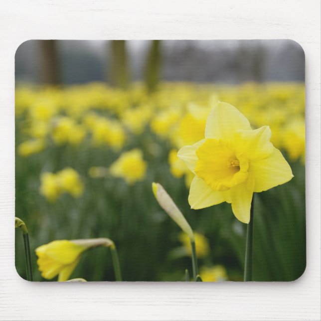 Daffodils (RF) Mouse Mat (Front)